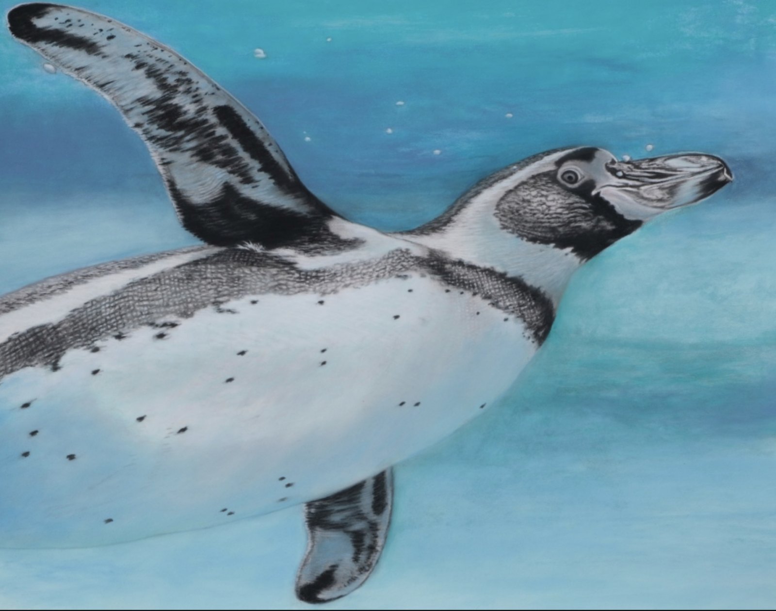 Glide — original soft pastel painting by Jaci Hogan