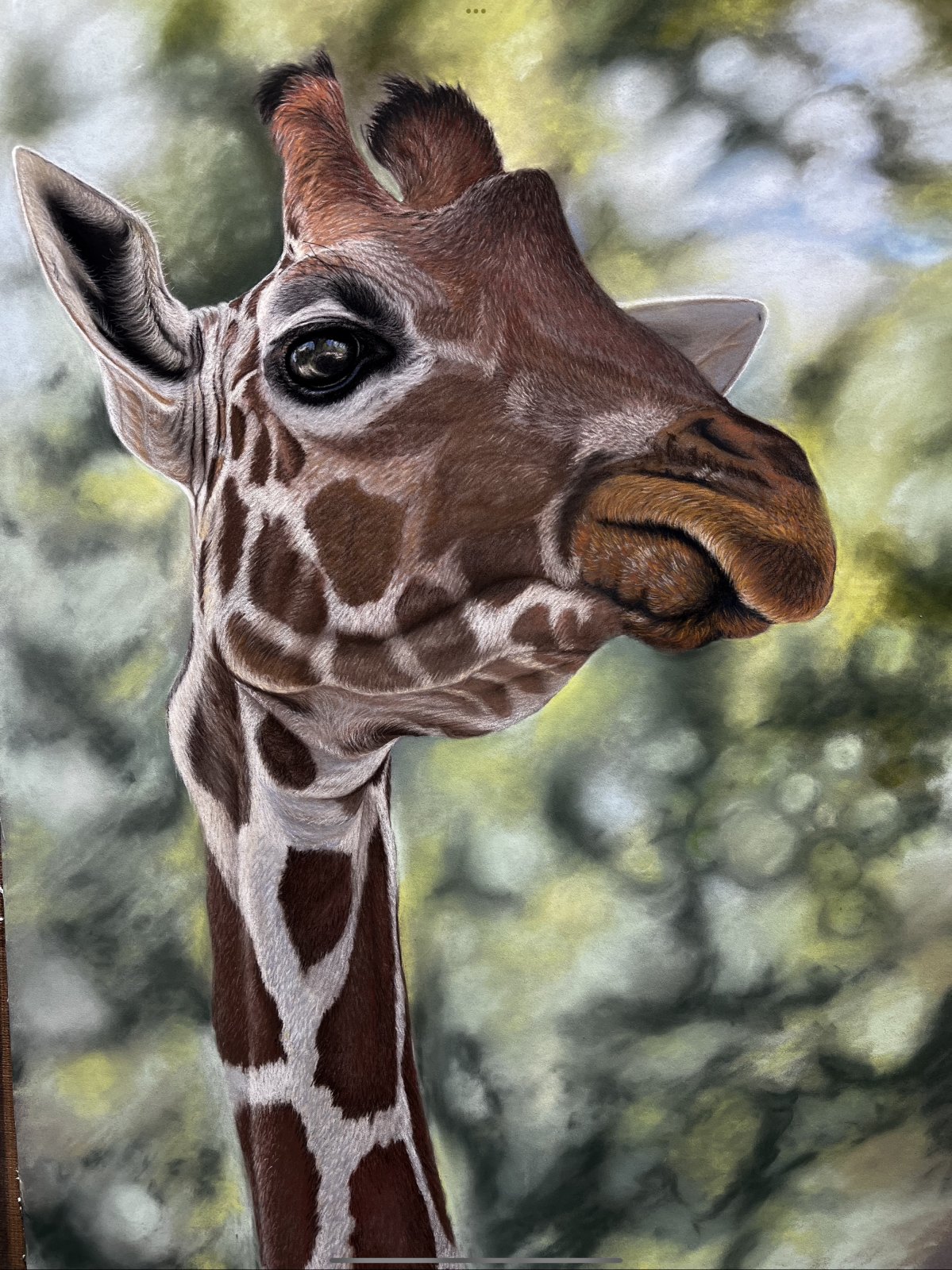 I See You — original soft pastel painting by Jaci Hogan