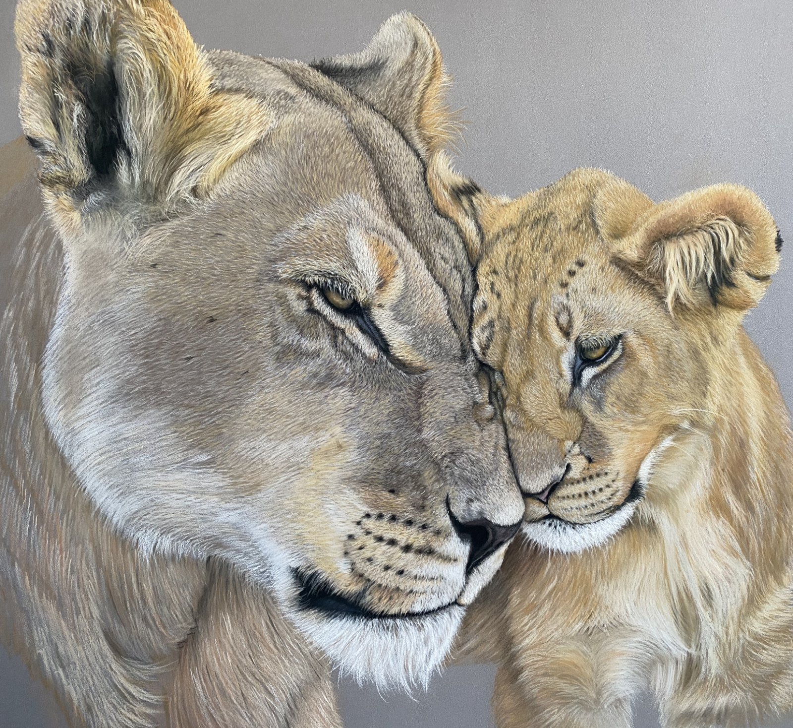 Lioness and Cub — original soft pastel painting by Jaci Hogan
