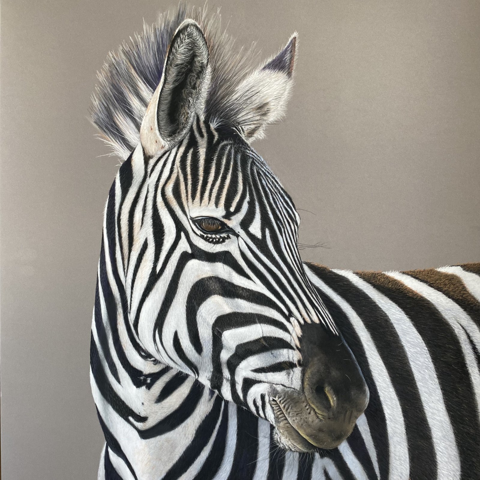 Monochrome Beauty — original soft pastel painting by Jaci Hogan
