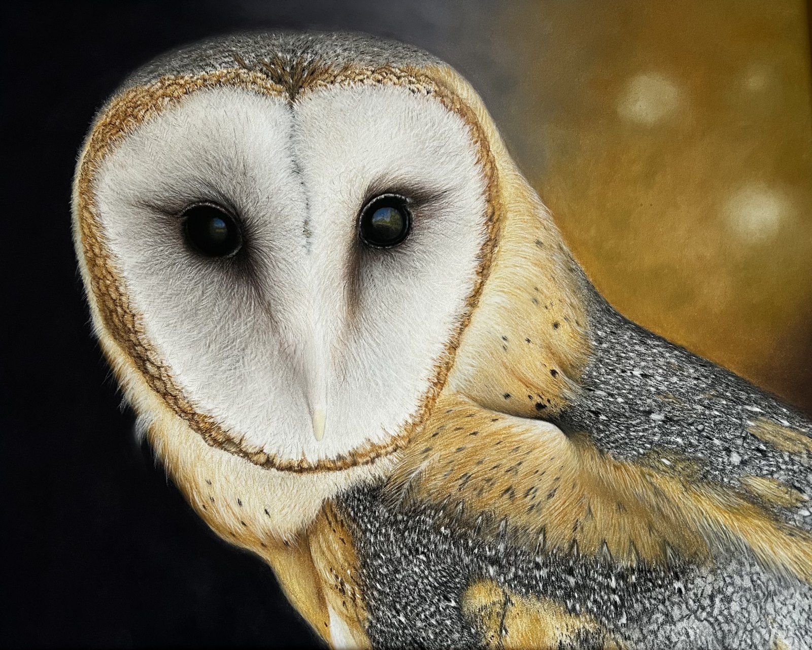 Night and Day — original soft pastel painting by Jaci Hogan