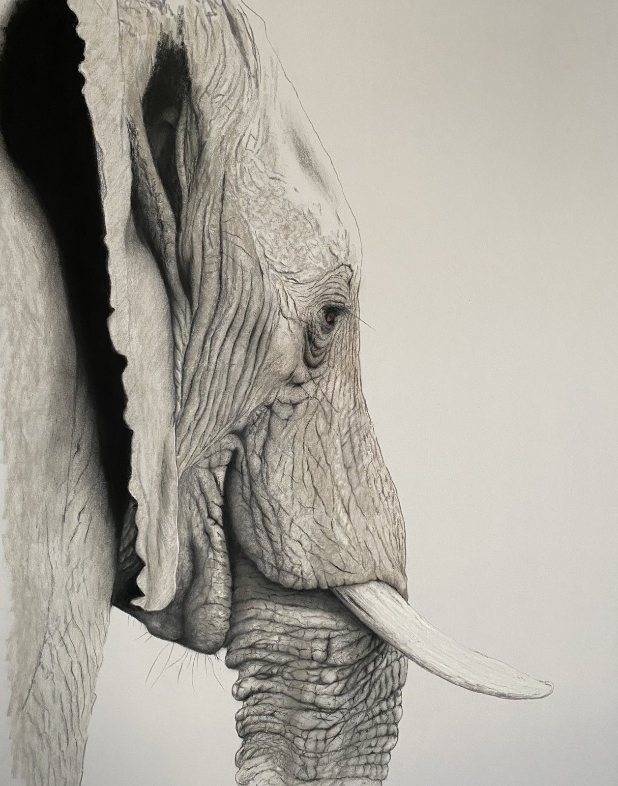 Silent Grace — original soft pastel painting by Jaci Hogan