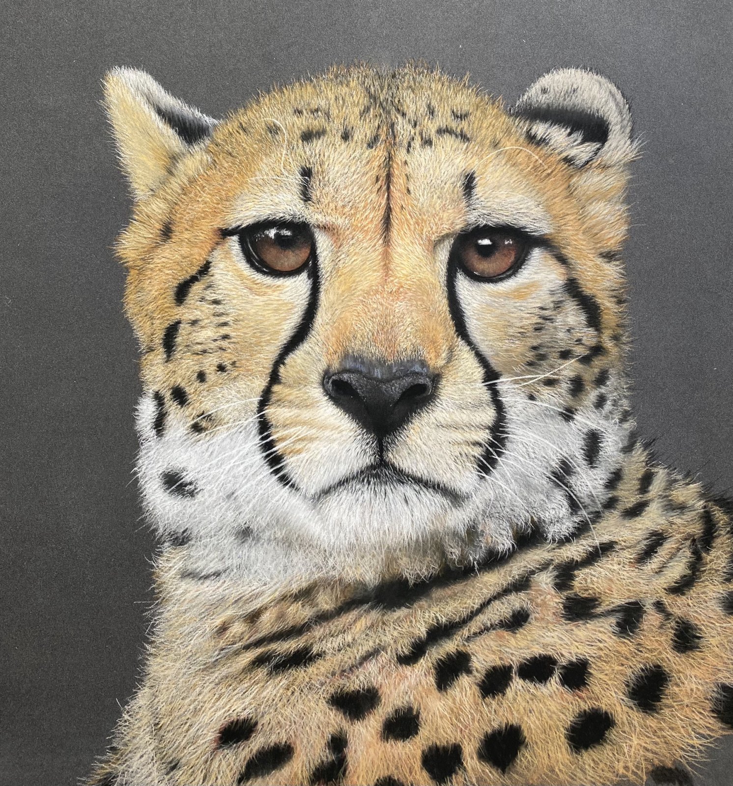 Strength — original soft pastel painting by Jaci Hogan