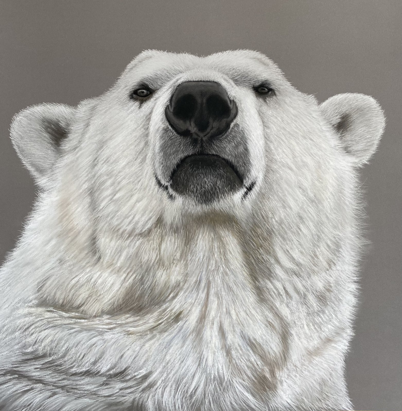 The Look — original soft pastel painting by Jaci Hogan