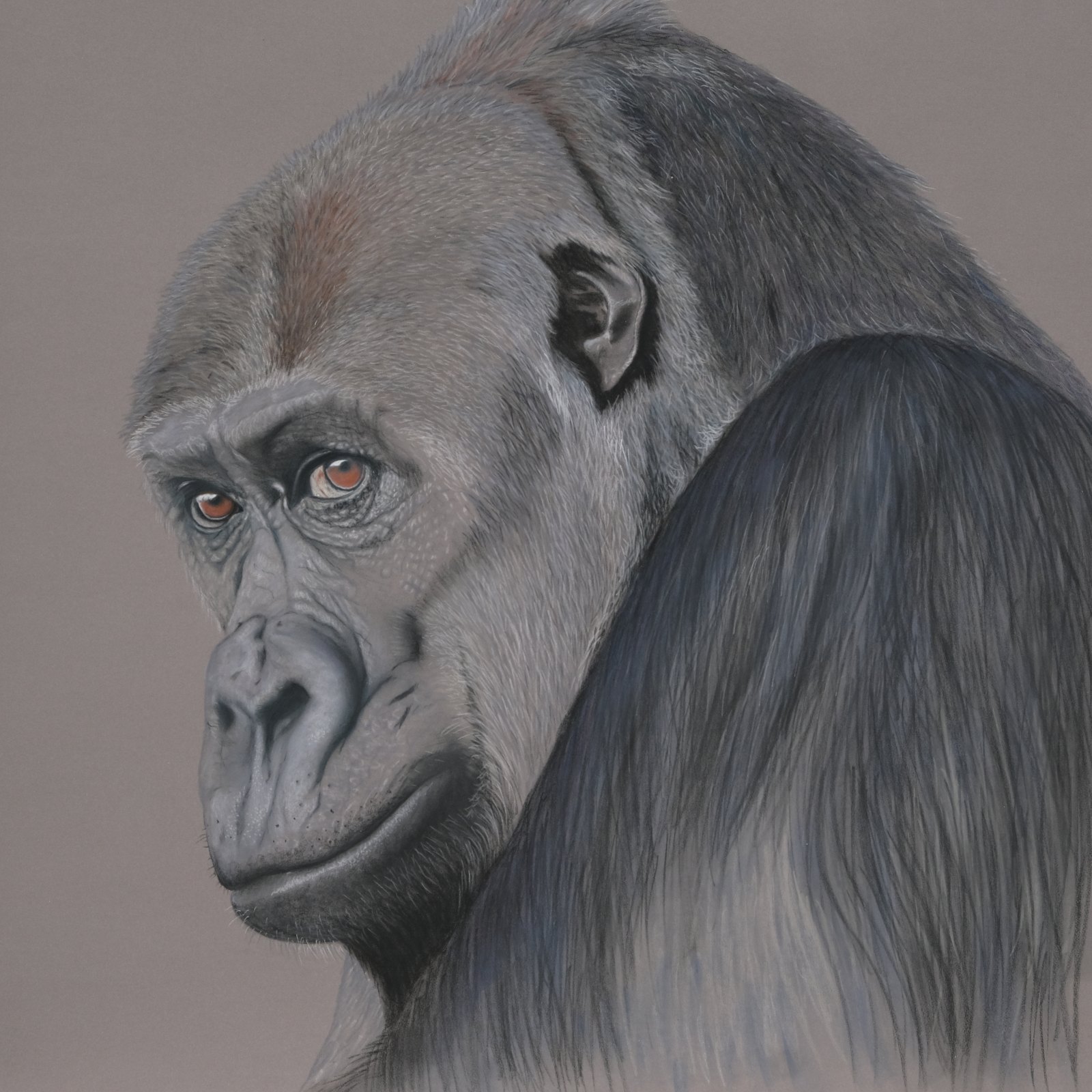 Today’s Mood — original soft pastel painting by Jaci Hogan