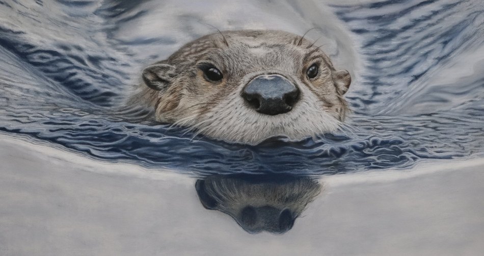 Travelling Otter — original soft pastel painting by Jaci Hogan